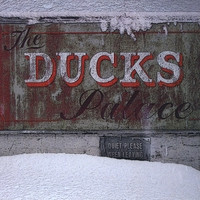 The Ducks Palace