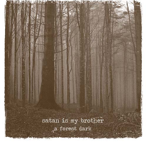 A forest dark