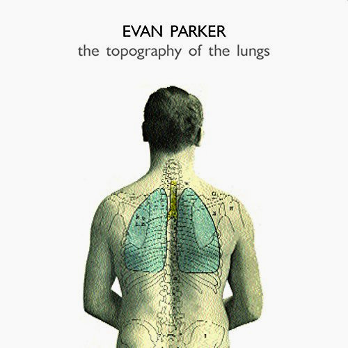 The Topography of the Lungs