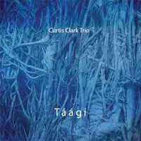Taagi