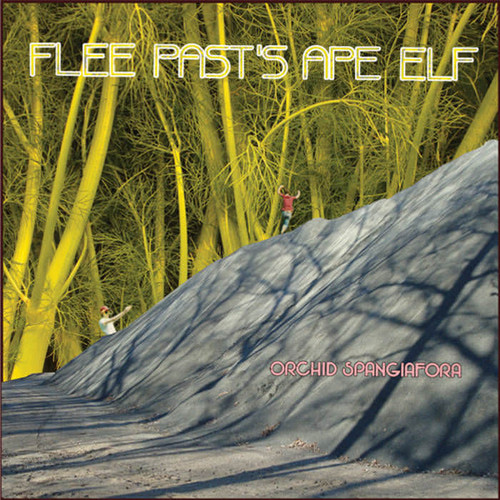 Flee Past's Ape Elf