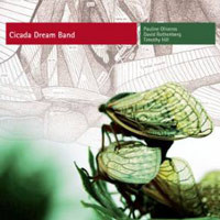 Cicada Dream