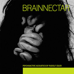 Brainnectar (2CD)