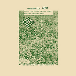 Amazonia 6891: Sounds From Jungle, Natural Objects, Echo ...