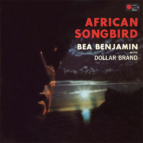 African Songbird