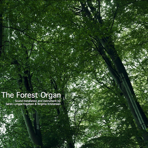 The Forest Organ