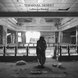 Terminal Desert