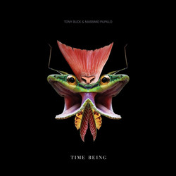 Time Being (LP)