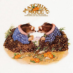 Matching Mole (Lp)