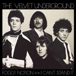 Foggy Notion / I Can't Stand It