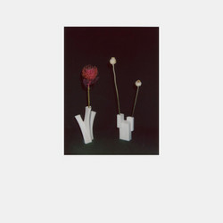 The Flower and The Vessel (2LP)
