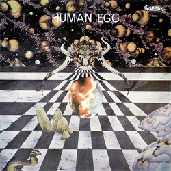 Human Egg