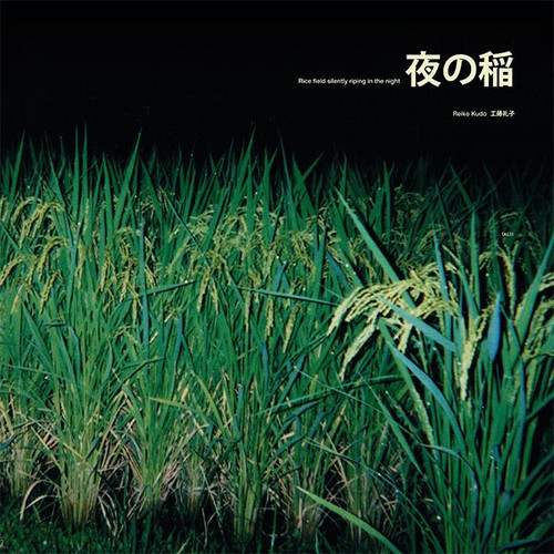 Rice Field Silently Riping In the Night