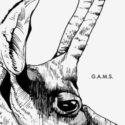 G.A.M.S. (LP)