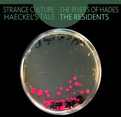 Strange Culture / Rivers of Hades / Haeckel's Tale