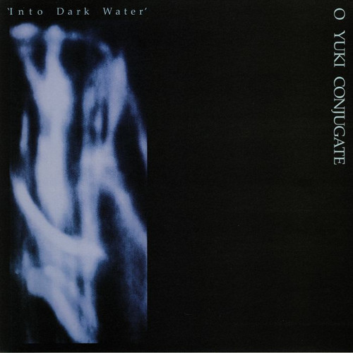 Into Dark Water