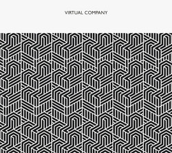 Virtual Company