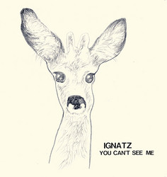 You Can't See Me (7")