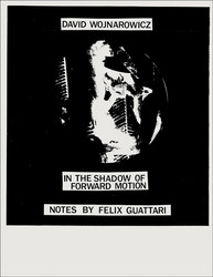 In the Shadow of Forward Motion (Book)