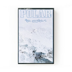 Polar