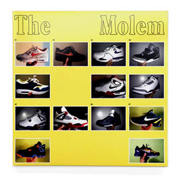 The Molem Collective (LP)