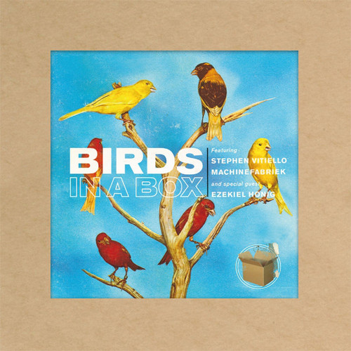 Birds in a box