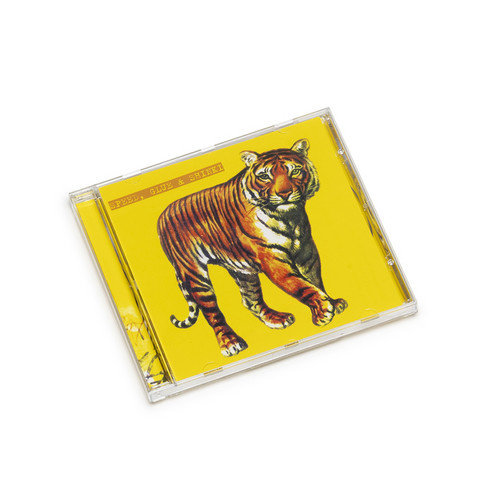 Speed, Glue & Shinki