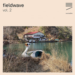  Fieldwave, Vol. 2 