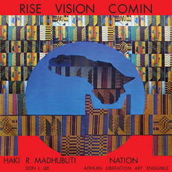 Rise Vision Comin (LP)