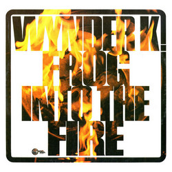 Into The Fire (LP)