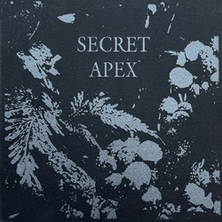 Secret Apex