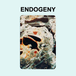 Endogeny (Tape)