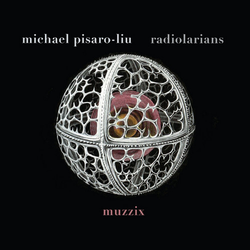 Michael Pisaro​-​Liu: Radiolarians