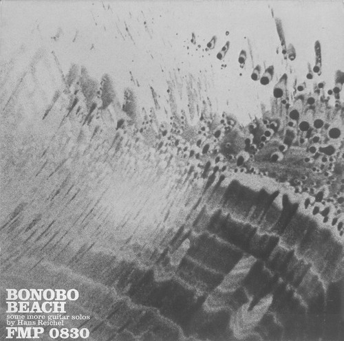 Bonobo Beach: Some More Guitar Solos