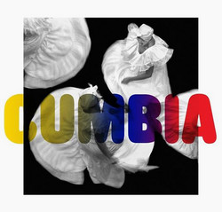 La edad de oro de la cumbia colombiana (LP)