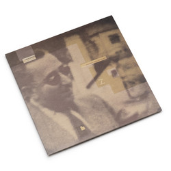 Snapshot from the Island