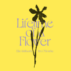 Lifetime of a Flower (LP)