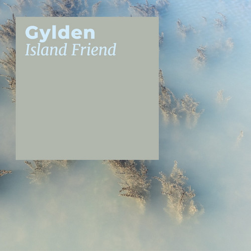 Island Friend