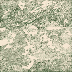Ambient and Experimental Music from Australia And New Zealand 2L