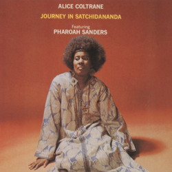 Journey In Satchidananda