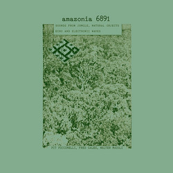 Amazonia 6891: Sounds From Jungle, Natural Objects, Echo ...
