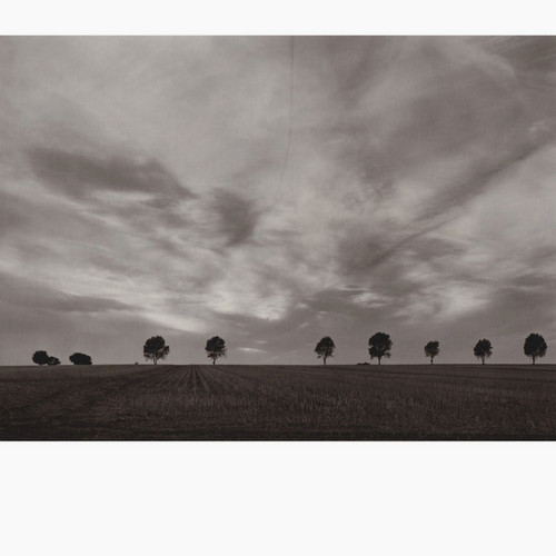Borderland Melodies