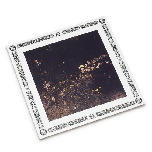Pale Bloom