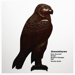 Amamiaynu (LP)