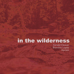 In The Wilderness (LP)