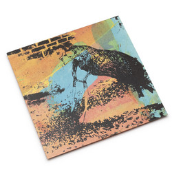 Dark Country Magic (LP)