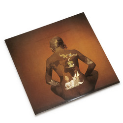 Mercator Projected (LP)