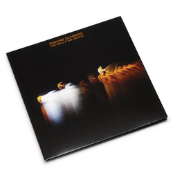 The Well And The Gentle (2LP)