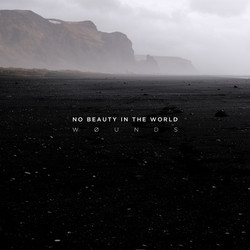 No Beauty In The World (LP, Clear)