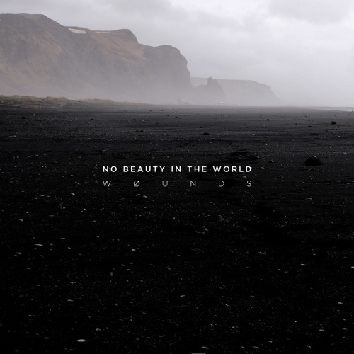 No Beauty In The World